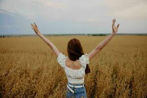 femme avec élevé en haut mains dans le champ admire le paysage retour vue photo