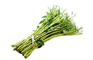 bouquet de biologique Matin gloire des légumes sur blanc Contexte. concept , en bonne santé nourriture ingrédient pour cuisine cette pouvez cuisinier pour variété menu. agriculture surgir de Thaïlande. photo