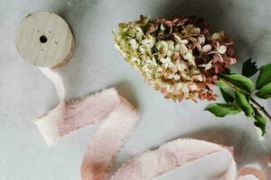 minimaliste mode de vie fleur et Accueil décor avec beaucoup objet nourriture et boire caméra animal photo
