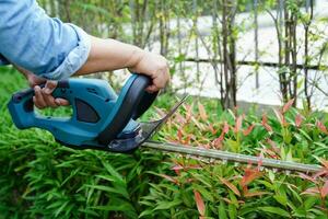 jardinier coupant le buisson par des taille-haies électriques dans le jardin. passe-temps à la maison. photo