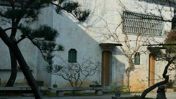 la belle vue sur le village chinois traditionnel avec l'architecture classique et les arbres verts frais en arrière-plan photo