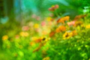 brouiller image de coloré fleur avec vert feuilles Contexte photo