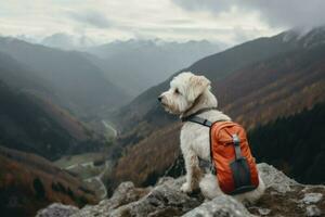 chien voyageur avec sac à dos voyage. produire ai photo