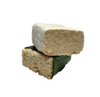 brut tempeh ou tempérament, indonésien traditionnel nourriture, fabriqué de fermenté soja, sur blanc Contexte. photo