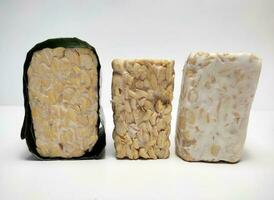 brut tempeh ou tempérament, indonésien traditionnel nourriture, fabriqué de fermenté soja, sur blanc Contexte. photo