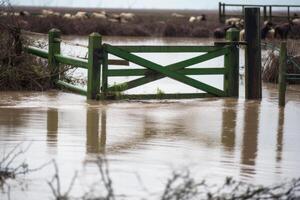 inondé ferme champ, en hausse rivière l'eau niveau génératif ai photo