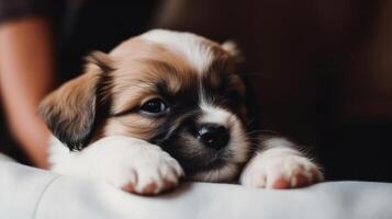 mignonne peu chiot sur mains. illustration ai génératif photo