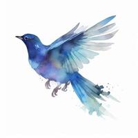 aquarelle bleu oiseau. illustration ai génératif photo