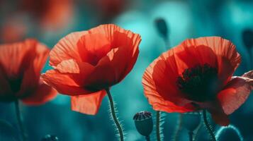 rouge coquelicots Contexte. illustration ai génératif photo