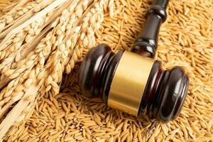 juge marteau marteau avec du bon riz à grains de la ferme agricole. concept de tribunal de droit et de justice. photo