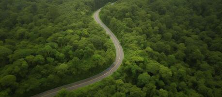 aérien vue de tropical forêt avec asphalte route Coupe par forêt, la nature Contexte. ai génératif photo