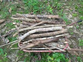 une pile de bois de chauffage sur une Chariot cette volonté être utilisé pour cuisine photo