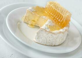 Camembert fromage avec nids d'abeille photo