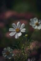 peu été fleurs croissance dans le jardin parmi vert feuillage Contexte sur une chaud journée photo