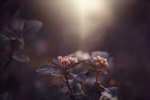 violet fleur sur le vigne dans été chaud soir Soleil photo