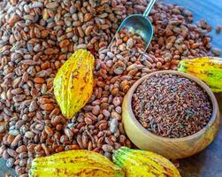 les éclats de cacao sont des fèves de cacao qui ont été moulues à froid ou à basse température pour former de minuscules fèves de cacao biologiques amères. photo