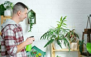 homme Vaporisateurs de une vaporisateur pistolet Accueil les plantes de sa collection, grandi avec l'amour sur étagères dans le intérieur de le maison. Accueil plante croissance, vert loger, l'eau équilibre, humidification photo