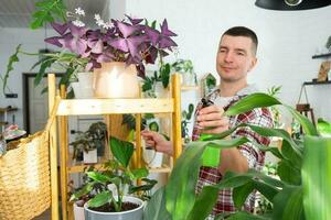 homme Vaporisateurs de une vaporisateur pistolet Accueil les plantes de sa collection, grandi avec l'amour sur étagères dans le intérieur de le maison. Accueil plante croissance, vert loger, l'eau équilibre, humidification photo