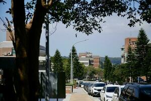 rue feuilles dans le ensoleillement photo