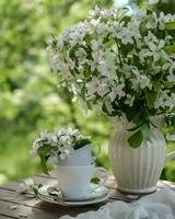 encore la vie avec blanc fleurs dans le jardin. été encore la vie photo