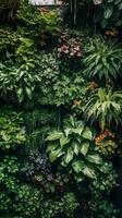 verticale jardin ornemental plante Contexte toile de fond portrait. fougère, vigne, vert feuilles, la nature fond d'écran, décoratif mur. photo