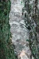 macro minéral pierre fuchsite sur une blanc Contexte photo