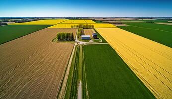 génératif ai, ferme paysage, agricole blé des champs, magnifique campagne, pays route. la nature illustration, photoréaliste Haut vue drone, horizontal bannière. photo