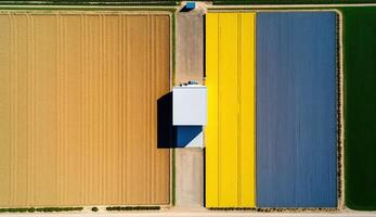 génératif ai, ferme paysage, agricole blé des champs, magnifique campagne, pays route. la nature illustration, photoréaliste Haut vue drone, horizontal bannière. photo