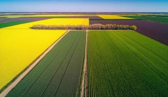 génératif ai, ferme paysage, agricole blé des champs, magnifique campagne, pays route. la nature illustration, photoréaliste Haut vue drone, horizontal bannière. photo