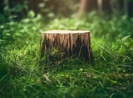 Naturel podium dans forêt. illustration ai génératif photo