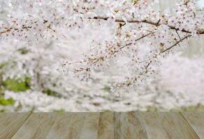 en bois passerelle dans le jardin. photo