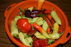 chaud paprika dans beaucoup couleurs photo