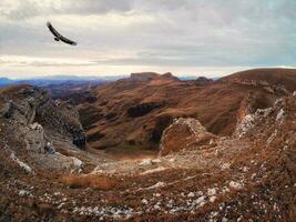 spectaculaire paysage avec vol solitaire Aigle - vue de une froid l'automne vallée flou dans une Matin brume et raide rouge pierre falaises de le Bermamyt plateau dans karatchay-cherkessia sur une nuageux journée. photo