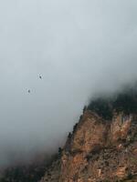 haute Roche dans faible des nuages et en volant corbeaux. spectaculaire alpin paysage avec génial rochers et montagnes dans dense faible des nuages. magnifique vue à Montagne pics plus de épais des nuages. verticale minimaliste voir. photo