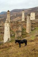 fier noir cheval contre le Contexte de ancien bataille tours dans ingouchie. médiéval la tour complexe Erzi, un de le le plus grand médiéval de type château la tour villages. photo