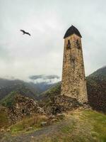 bataille tours erzi dans le Jeyrah gorge. médiéval la tour complexe Erzi, un de le le plus grand médiéval de type château la tour villages, situé sur le extrémité de le Montagne intervalle dans ingouchie, Russie. photo