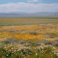 une plaine champ avec sauvage fleurs dans fleur ai généré photo