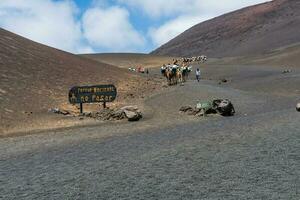 timanfaya, Espagne - août dix, 2018-touristes balade chameaux à l'intérieur le timanfaya nationale parc et le volcans dans lanzarote pendant une ensoleillé journée photo