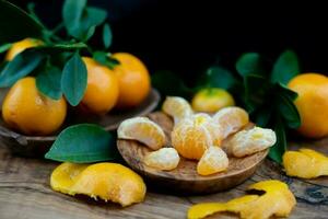 le calamondin Orange nitro Fortunella macrocarpa est une hybride de mandarin un cumquat photo