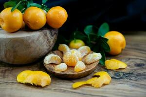 le calamondin Orange nitro Fortunella macrocarpa est une hybride de mandarin un cumquat photo