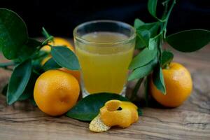 le calamondin Orange nitro Fortunella macrocarpa est une hybride de mandarin un cumquat photo