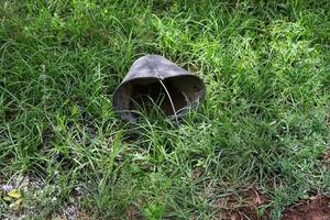 déchets panier mensonge sur herbe dans le jardin, dommage métal panier sur herbe photo