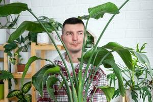 homme plante éleveur tenir dans main Accueil les plantes strelitzia dans pot de sa collection à Accueil sur le étagères. chercher pour nuisibles, se soucier, arrosage, les engrais. Accueil surgir production photo