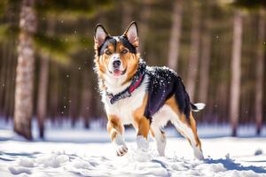 portrait de une magnifique chien dans le parc. aidi. gallois corgi chien. génératif ai photo