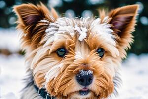 portrait de une mignonne Yorkshire terrier chien dans le parc. génératif ai photo