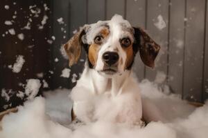 la lessive animal de compagnie. mignonne chien dans une baignoire avec shampooing mousse. génératif ai photo