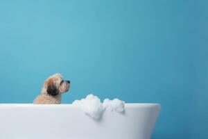 la lessive animal de compagnie. mignonne chien dans une baignoire sur bleu Contexte. génératif ai photo