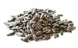 tournesol des graines pour en mangeant comme casse-croûte dans temps libre. photo