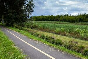 vide bicyclette chemin le long de le cali - palmira route dans Colombie photo