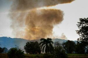 sucre canne Feu brûlant dans champ à valle del Cauca dans Colombie photo
